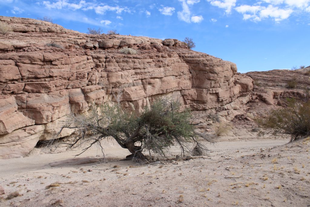 Anza borrego slot canyon trail
